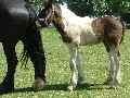 Eerste foto