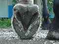 Eerste foto