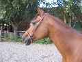 Eerste foto