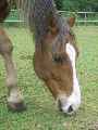 Eerste foto