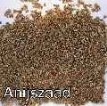 Eerste foto