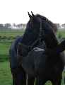 Eerste foto