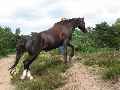 Eerste foto