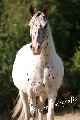 Eerste foto