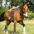 Eerste foto