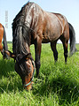 Eerste foto