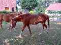 Eerste foto