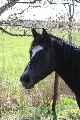 Eerste foto