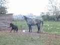 Eerste foto