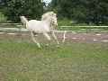Eerste foto
