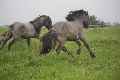 Eerste foto