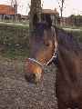 Eerste foto