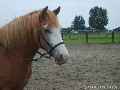 Eerste foto