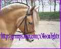 Eerste foto