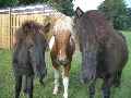 Eerste foto