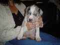 Eerste foto