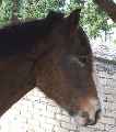 Eerste foto