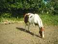 Eerste foto