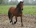 Eerste foto