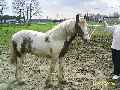 Eerste foto