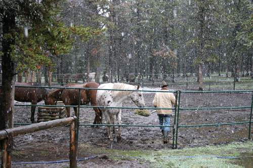 Sneeuw