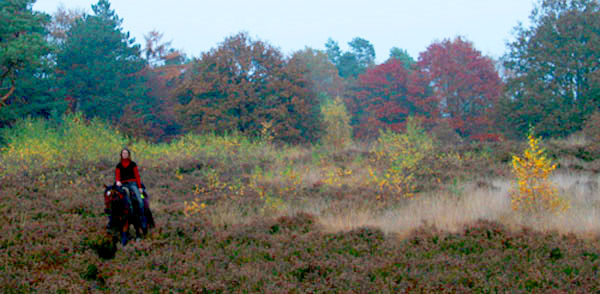 Met halsring door het bos