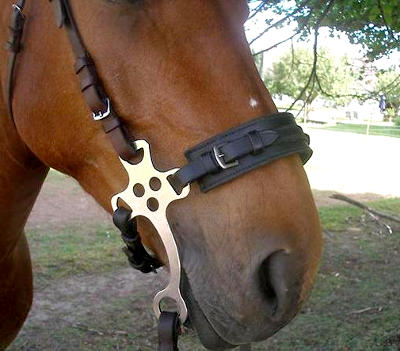 Mechanical hackamore