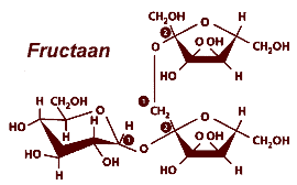 Fructaan