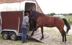 Paard erin, jij blijft buiten