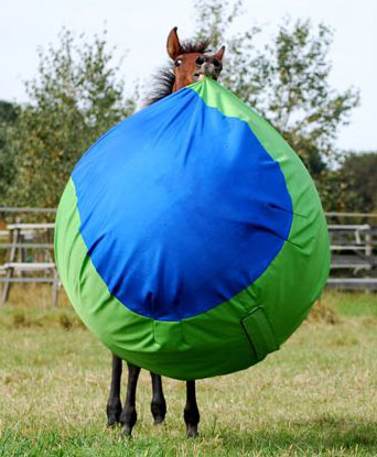 Danser Ellendig criticus Paardenbal