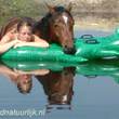 Activiteiten